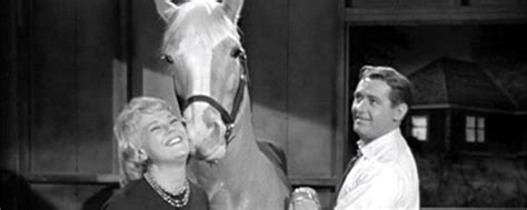 Mister Ed - Cast Images | Behind The Voice Actors