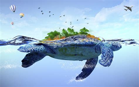 Turtle , Beach Turtle HD wallpaper | Pxfuel