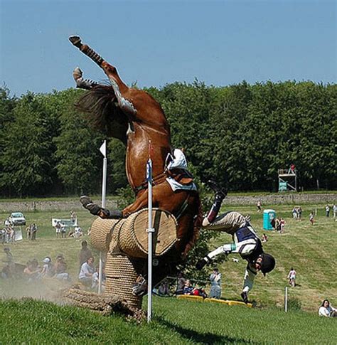 12 Moment Only Horse People Realize Things Aren’t Going To End Well