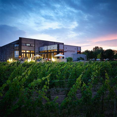 STRATUS VINEYARDS (2024) All You Need to Know BEFORE You Go (with Photos)