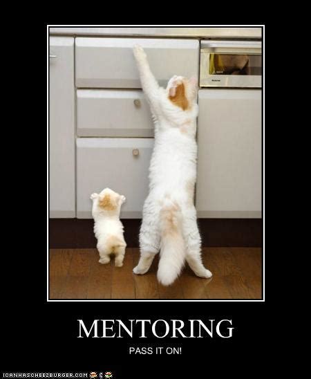 Funny Quotes About Mentoring. QuotesGram