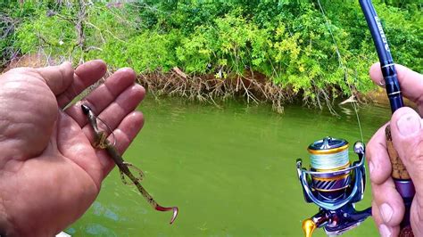 BASS FISHING SECRETS!!! Tips and Tricks For Catching More Fish! – Bass ...