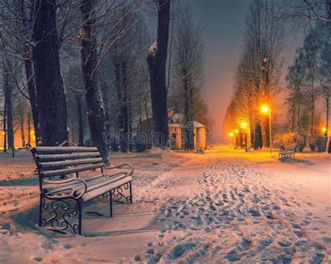 Winter Evening in a Central Park Stock Image - Image of country, night ...