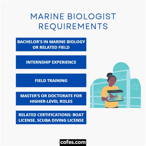 Marine Biologist: Job Description, Salary, Duties & More (2023)