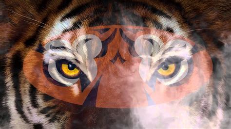 Auburn Tigers Wallpapers - Wallpaper Cave