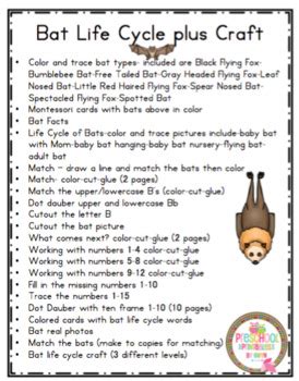 Bat Life Cycle Printable by Preschool Printable | TpT