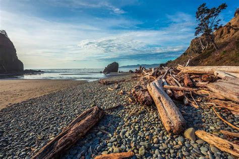 The 10 Best Beaches in Washington - A-Z Animals