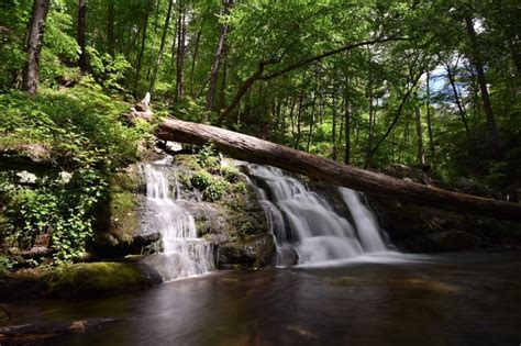 New Jersey State Parks & Forests Map - Local Parks Great for Families