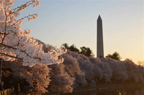 3 Things You Have to See in Washington DC over Spring Break