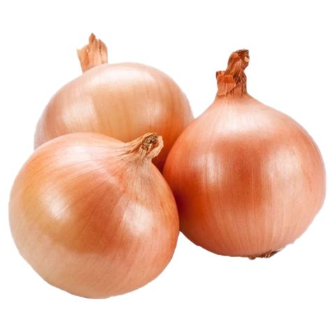 Onion Cutout, Silhouette, Image PNG Picture