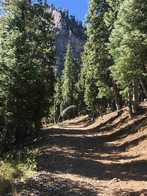 Photos of Little Falls Trail - Nevada | AllTrails