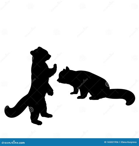 Silhouette of Two Red Panda. Animal Feline Bear Little Panda Family Stock Vector - Illustration ...