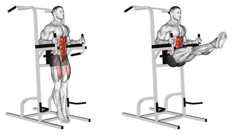 Captain’s Chair Leg Raise: Benefits, Muscles Worked, and More - Inspire US