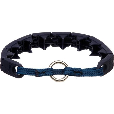 Star Mark Pro-Training Dog Collar | Petco