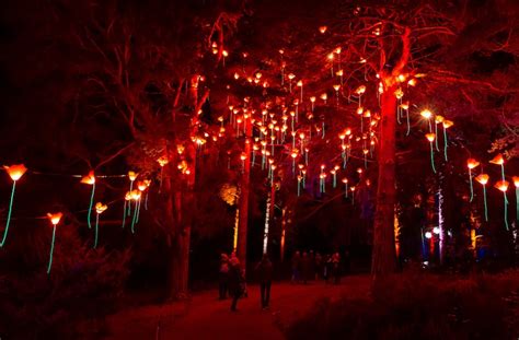 Lightscape Is Coming To Brisbane This Year | URBAN LIST BRISBANE