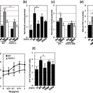 Mitochondrial membrane potential and ATP generation are inhibited by ...