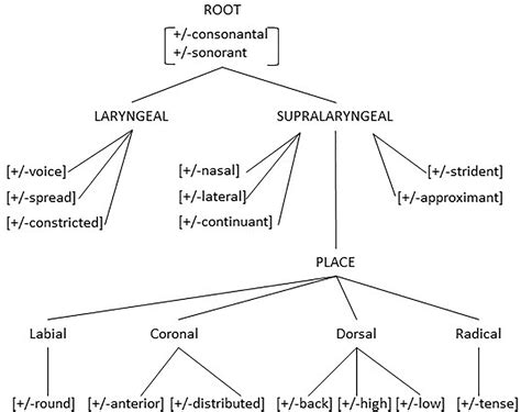 Frontiers | A Gestalt Theory Approach to Structure in Language