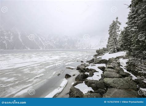 The Lake Morskie Oko in WInter Stock Photo - Image of december, pine ...