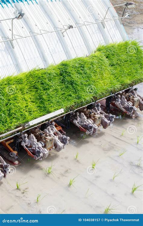 Rice transplanter machine. stock image. Image of asian - 104038157