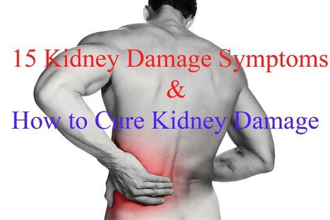 15 Kidney Damage Symptoms | Kidney damage, Kidney, Kidney failure treatment