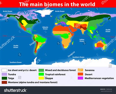 Biotope Earths Terrestrial Biomes Vector Map Stock Vector (Royalty Free ...