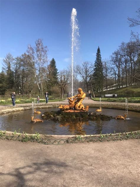 The Peterhof Palace | Summer 2018 Russian Culture & Society Study ...