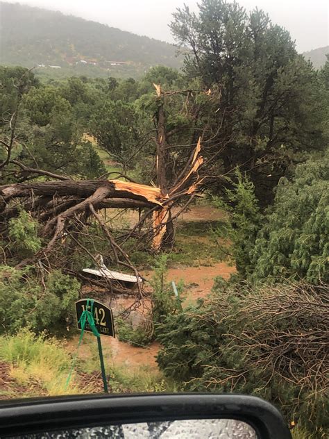 EF1 Tornado in Arizona | WOODTV.com