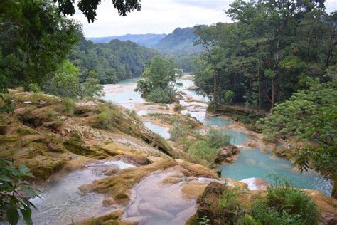 Guide to the Best Palenque Waterfalls (that you simply need to see!)