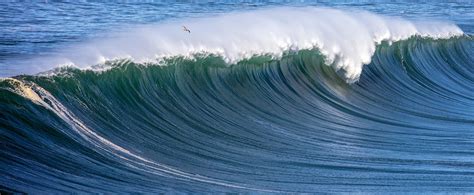 Mavericks surf waves are deadly