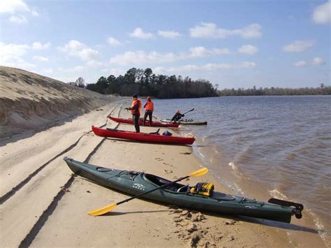 Kayaking the Mobile-Tensaw River Delta: 12/05/2009 - Gravine Island