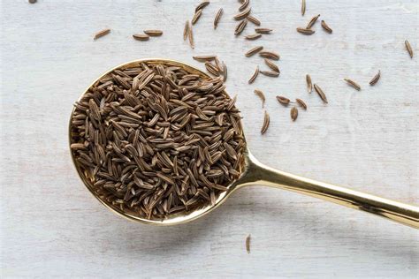 What Is Caraway and How Is It Used?