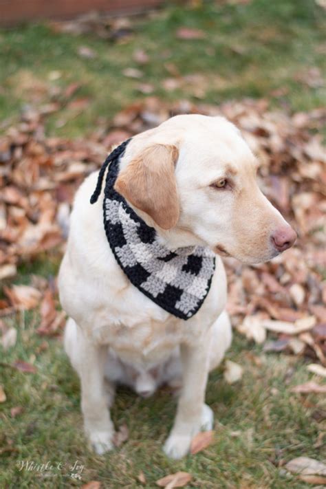 Plaid Crochet Dog Bandana - Free Crochet Pattern - Whistle and Ivy