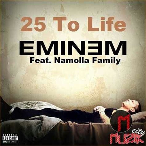 Eminem Lyrics 25 To Life