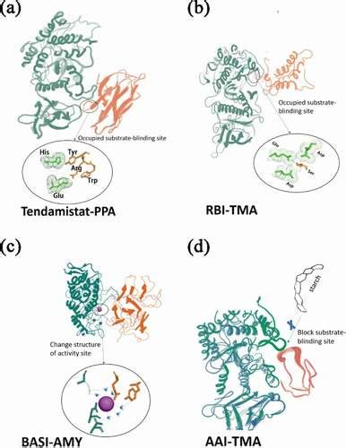 Full article: Proteinaceous α-amylase inhibitors: purification, detection methods, types and ...