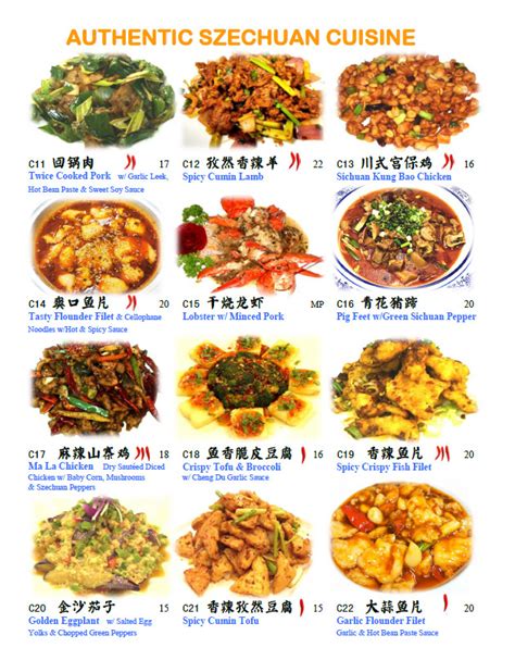 Authentic Szechuan Cuisine Chinese Special Food Chengdu 23 Wayne NJ