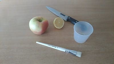 Apple Oxidation Experiment - STEM Little Explorers