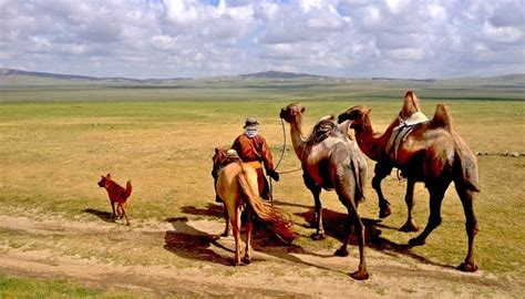 21st Century Nomads: Life In The Mongolian Steppe