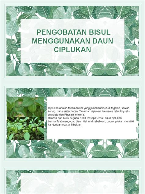 Ciplukan | PDF | Linguistics | Film And Video Technology