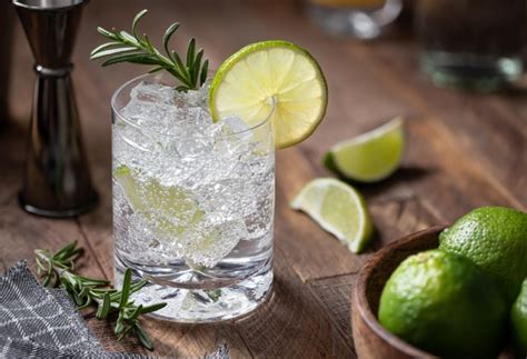 Top 10 craft gin brands from India