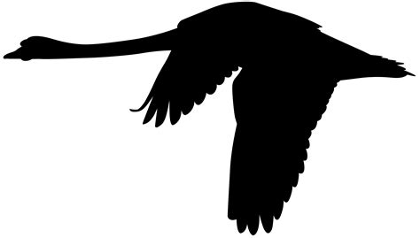 Mute swan Flight Silhouette Clip art - Flying Swan Silhouette PNG Clip Art png download - 8000* ...