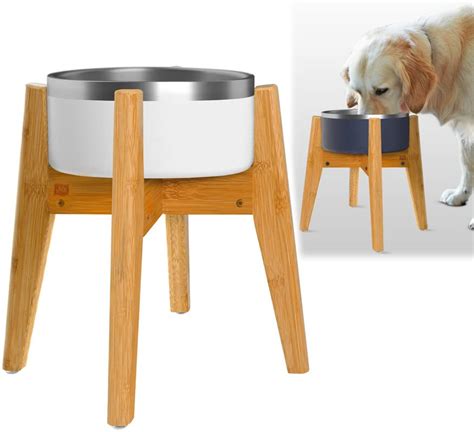 Bark-Worthy Bites: 10 Best Dog Food Stands for Your Furry Friend's Feasting - Furry Folly