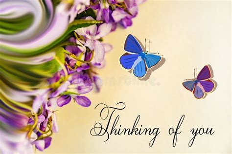 Thinking of You - Card. Violet Flowers. Stock Image - Image of beauty ...