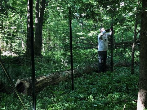 How-to Install a deer Fence - The Benner Deer Fence Company