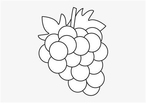 grapes png black and white - Clip Art Library