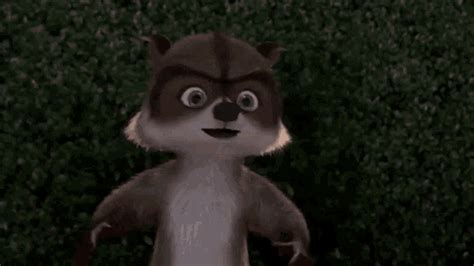 Over The Hedge Rj Raccoon GIF – Over The Hedge Rj Raccoon Baseball ...