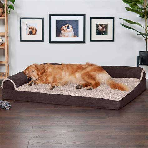 A Cosy Bed: Furhaven Orthopedic, Cooling Gel, and Memory Foam Pet Bed ...