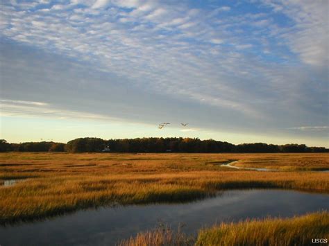 Mapping the World's Tidal Marshes - Geography Realm