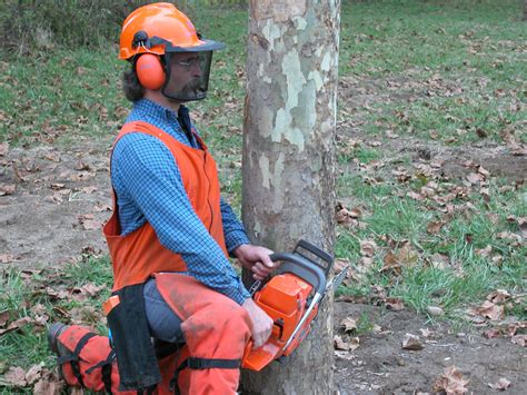 Chainsaw Safety Course will be offered by Hocking College and OSU ...