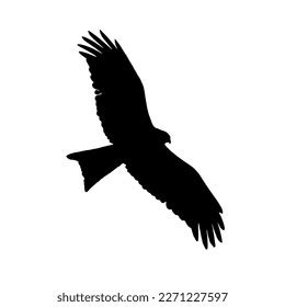 Eagle Flight Silhouette Illustration Eagle Illustration Stock Illustration 2271227597 | Shutterstock