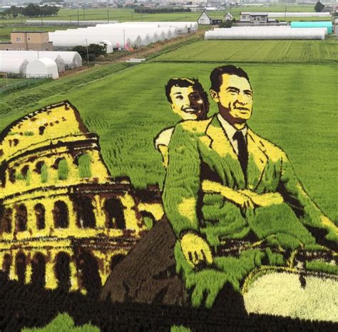 Rice paddy art made by planting different rice types : r/interestingasfuck